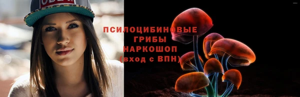 ПСИЛОЦИБИНОВЫЕ ГРИБЫ Абинск