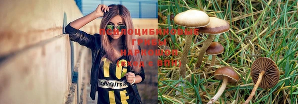 ПСИЛОЦИБИНОВЫЕ ГРИБЫ Абинск