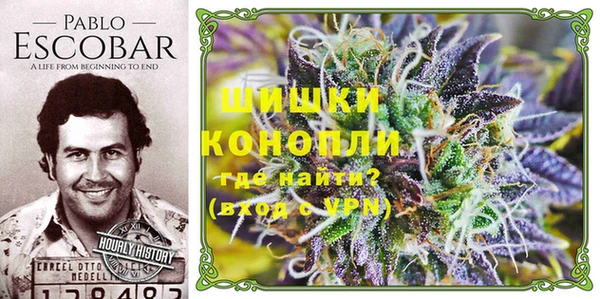 соль ск Абаза